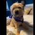 Lord Brodie P of Scottyland ๐ด๓ ง๓ ข๓ ณ๓ ฃ๓ ด๓ ฟ (@hanimp123) Twitter profile photo Lord Brodie P of Scottyland ๐ด๓ ง๓ ข๓ ณ๓ ฃ๓ ด๓ ฟ (@hanimp123) Twitter profile photo