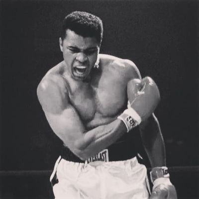 mellowfilms's profile picture. 調子にのっています。