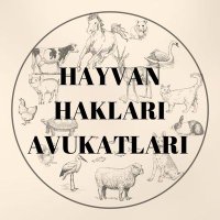 Hayvan Hakları Avukatları(@hayhakavukat) 's Twitter Profile Photo