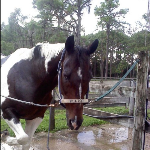 jcampi81's profile picture. 