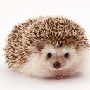 Harry Connor - @HarryCo95827654 - Twitter