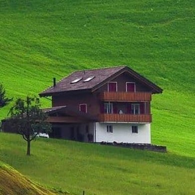 ozcanozcan073's profile picture. 