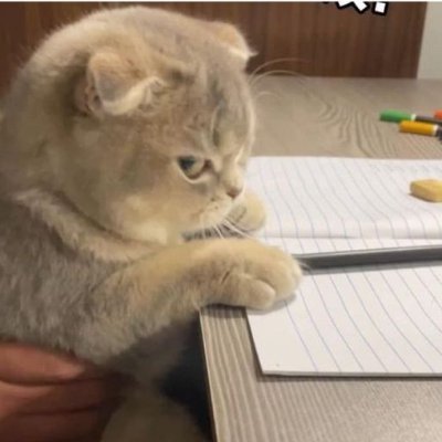 u7zq2's profile picture. ето било учєніє, там бил сахар