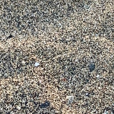 434a4d's profile picture. 