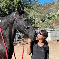 Amaya Nocturna (@amaya_nocturna) 's Twitter Profile Photo Amaya Nocturna (@amaya_nocturna) 's Twitter Profile Photo