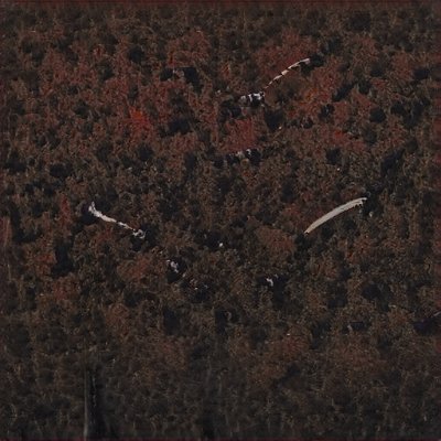 KarenAn78027687's profile picture. 