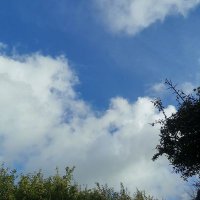 JellybeanAddict (@addictjellybean) 's Twitter Profile Photo