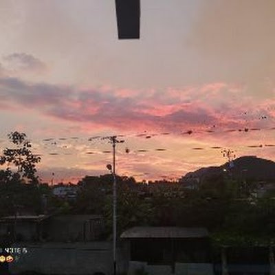 joselogan569's profile picture. 
