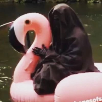 blanerzz's profile picture. Left of Center, over 50 and sick of everyone's shit...