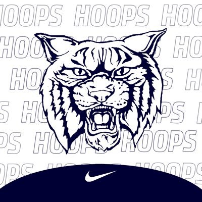 Enterprise Basketball Profile