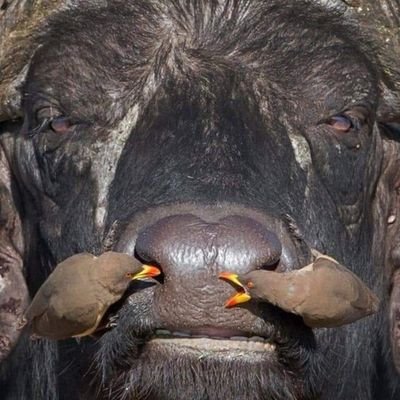 Jack_son_2112's profile picture. Jesus is my King. Family is my love and my job. America is my home. President Trump is my and your president.