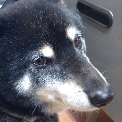 ゲーマー兼映画マンガアニメを嗜む元サバゲーマー。
XboxSX(ID:DaigoH)、swich、PCで全ジャンル何でも触る。
戦略シミュレーションは至向。
信条:”Who Dares Wins” ,「まったり楽しく」.
仕事:Investor、ヘルダイバー
学問:農学(修士)、経済(FP2級)