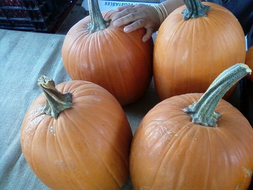 A family-owned farm growing organically in Fresno, CA. Find us on the weekends at the Silver Lake, Hollywood, Gardena, Melrose and Studio City Farmers' Markets.