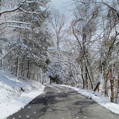 TennHoller's profile picture. One with nature.  East TN.