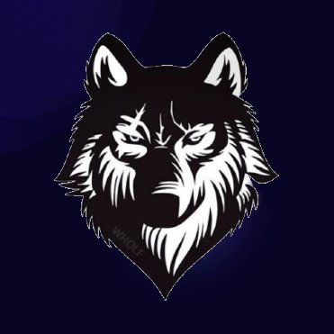 wholfofficial's profile picture. 
