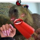 Alice Branco - @AliceBranco20 - Twitter