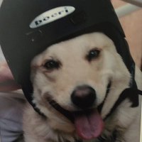 KJ (@snayburtjames) 's Twitter Profile
