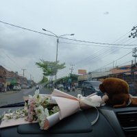 mari berkebun (@blubenofficial) 's Twitter Profile