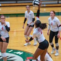 Alaleh Tolliver (@alaleh_tolliver) 's Twitter Profile