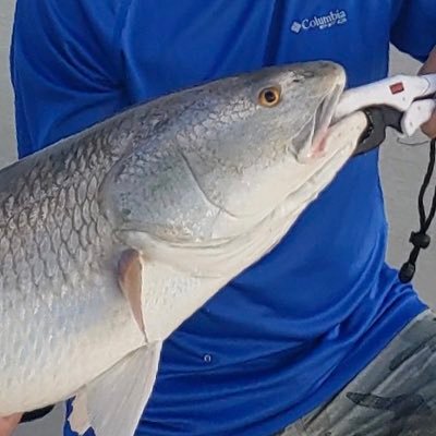 narrowminded74's profile picture. Ambassador of Christ, advocate for the unborn, old fashioned American