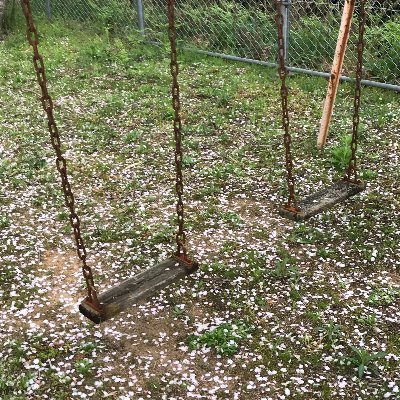 yvc9e's profile picture. 