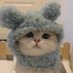 ๐ฒ๐๐๐๐๐๐ (@ksainkhuu) Twitter profile photo ๐ฒ๐๐๐๐๐๐ (@ksainkhuu) Twitter profile photo