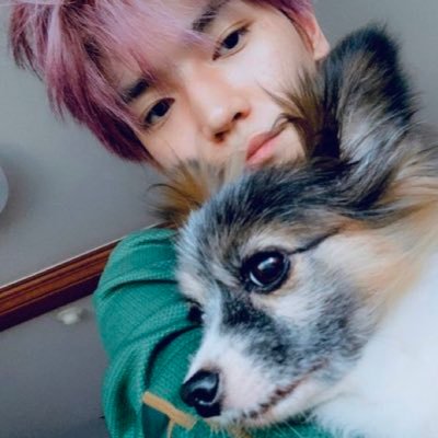 coohiesandcream's profile picture. an endless battle of existence and identity ! :D mute if tweets r uncomfy !