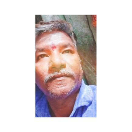 Pandiya62382338's profile picture. real estate consult,