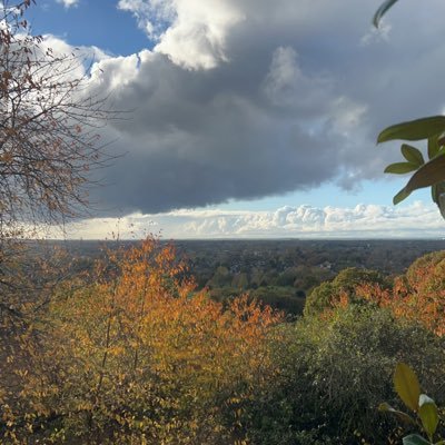 alluhaidan's profile picture. 