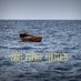 SOS FROM THE MED (@sosfromthemed) Twitter profile photo SOS FROM THE MED (@sosfromthemed) Twitter profile photo