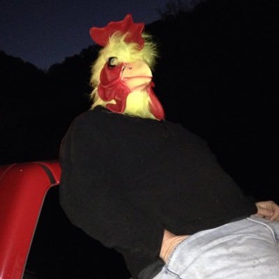 jimpwhacker's profile picture. First, a joke. What do you get when you cross an owl with a bungee cord?