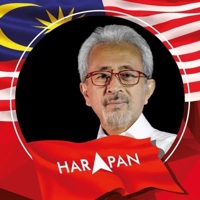 - Ahli Jawatankuasa AMANAH Nasional
- Pengerusi HARAPAN Terengganu
- Pengerusi AMANAH Terengganu