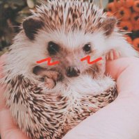🕯PIX🕯 (@lamp_of_pix) 's Twitter Profile
