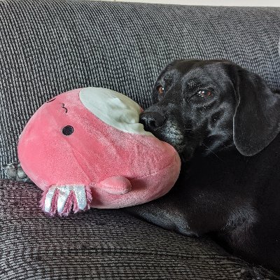 kathryn_szalay's profile picture. 