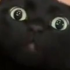 ladymiss2352's profile picture. 