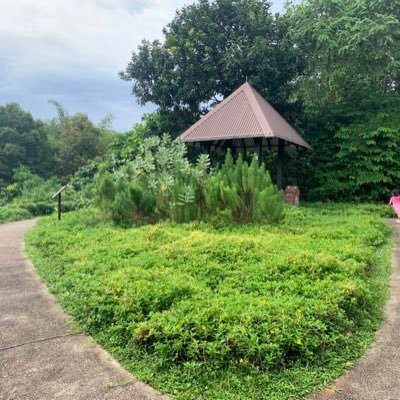 SugitDas's profile picture. 