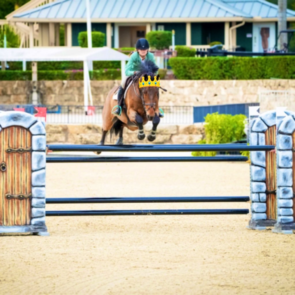 Competing around the Midwest w/ my perfect angels First Finch & Ecuador W ; proud owners of 6yo speedyboi Chardonneigh & 13yo stallion Five Star ; RIP Sir♥️👼🏼