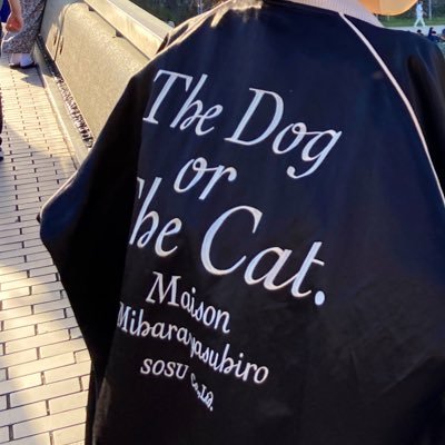 mame kurogouchiのお洋服が好き。fetico / tanakadaisuke / cfcl / ISSEYMIYAKEなどもよく身につけています。