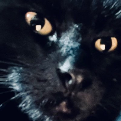 johnjanthony55's profile picture. An old soul living in the new world.