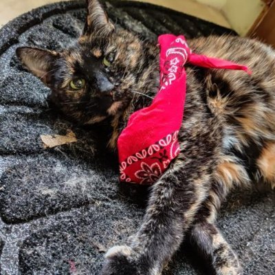 BejornPC's profile picture. 23