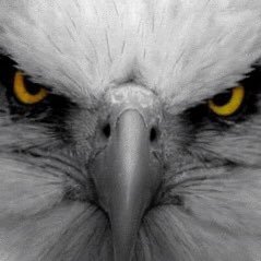 mw5001's profile picture. Classical Liberal. Treason is the only crime defined in the US Constitution (Art.3 Sec.2) God Bless America. #MAGA 🇺🇸🏴‍☠️