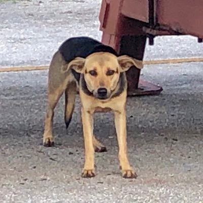 _Forever_6_'s profile picture. 🌏High, Low and somewhere between. 🛸 👽🥂🍾🏝️⛳️🏌🏻‍♀️🤿🐠🦘