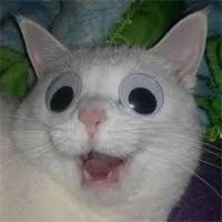 geulssagaelese1's profile picture. 