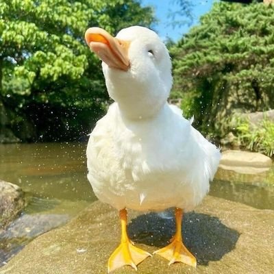 ✨ اللهم اني أسألك مكاناً ارضيك فيه✨
✨ وأسألك قره اعين لا تنقطع✨
Baba🫀♥️