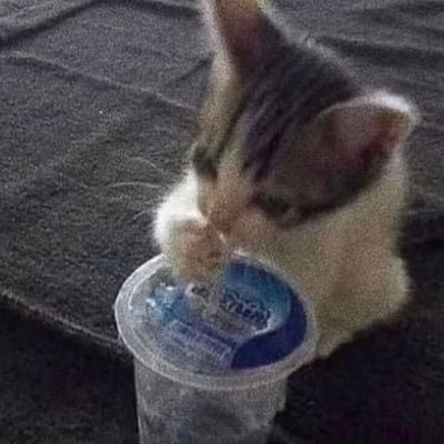 gumさんのプロフィール画像