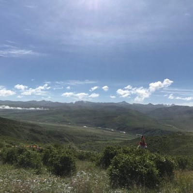 zzz03160219's profile picture. Ember symbolizes the glowing remnants of a fire #WEB3 #BTC Holder