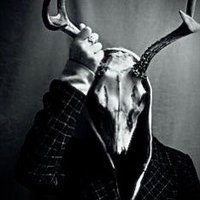 πππ ππππππ. (@styglan_stag) 's Twitter Profile