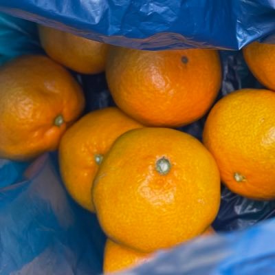 so_study_so's profile picture. 