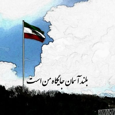 TM86903779's profile picture. 