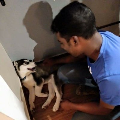 aravinthsci's profile picture. Exploring LLMs